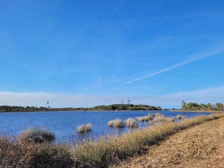 Roanoke Island Marshes Conservation Project and Birding Trail