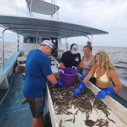 Risky Business Shrimping & Crabbing Charters