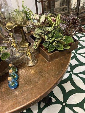 Bough and Vine