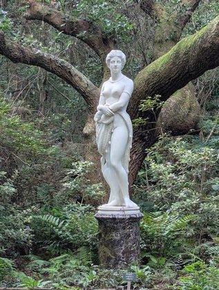 The Elizabethan Gardens Nursery