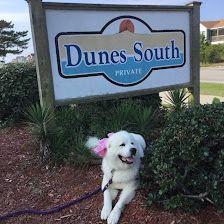 Dunes South