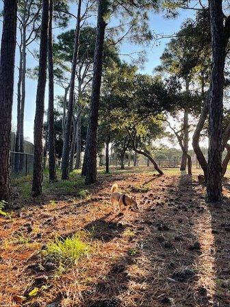 Nags Head Dog Park
