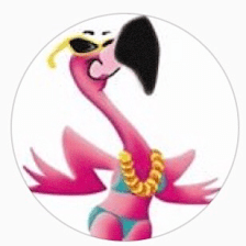 Foxy Flamingo Boutique
