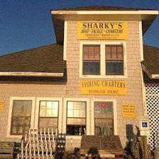 Sharky's Charter Booking LLC