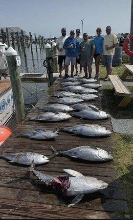 Moana Sportfishing