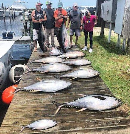 Point Runner Sportfishing Charters