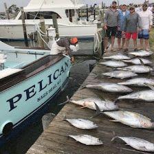 Pelican Charters