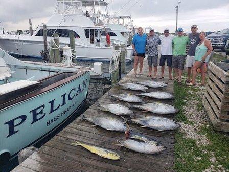 Pelican Charters