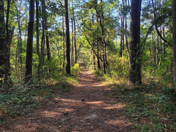 Nags Head Woods Town Trail and YMCA Trail