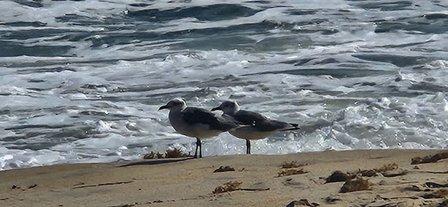 Public Beach Access