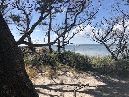 Springer's Point Preserve