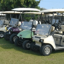 Wheelie Fun Cart Rentals