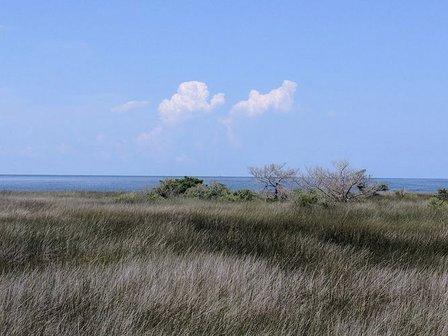 Hammock Hills Trail