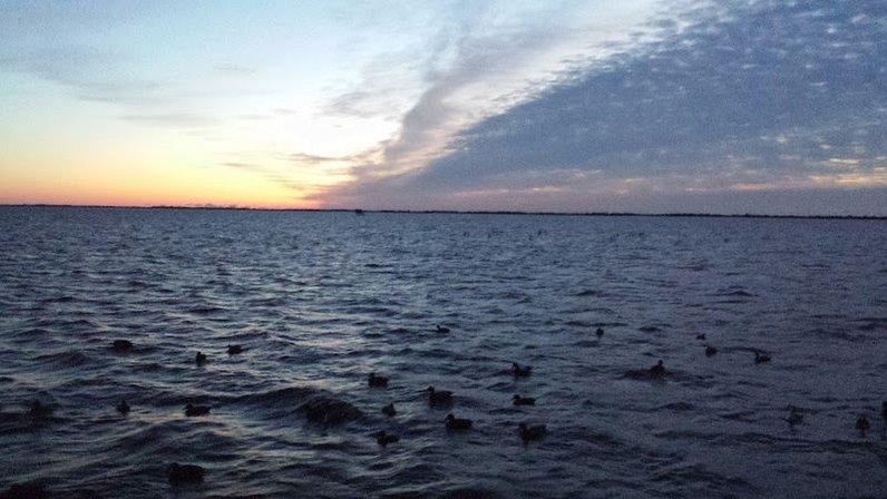 Portsmouth Island Adventures