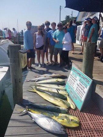 Gecko Sportfishing Charters