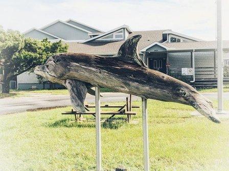 Ocracoke Campus