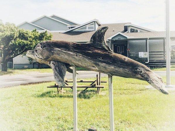 Ocracoke Campus