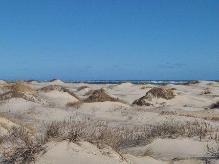 Pea Island National Wildlife Refuge