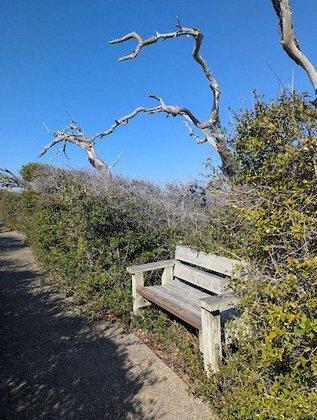 Pea Island National Wildlife Refuge Visitor Center