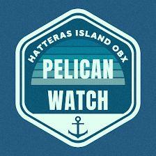 Pelican Watch
