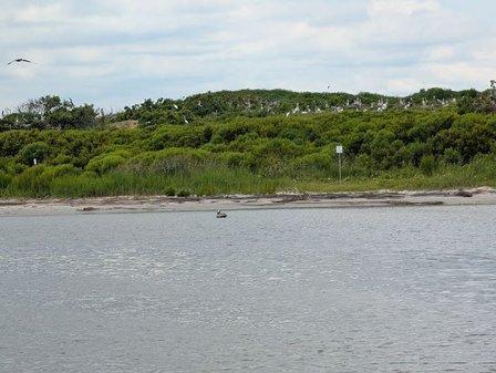 Harbor Star Dolphin Tours - Outer Banks, NC