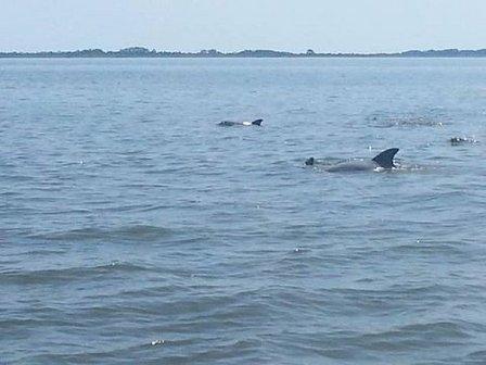 OBX Crabbing & Shrimping Charters