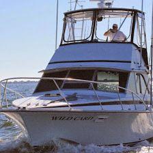 Wild Card Sport Fishing Charters