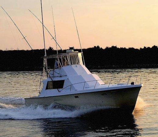 Hitman Sportfishing