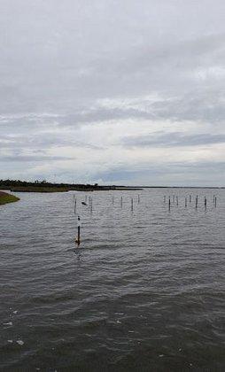 North Carolina Coastal Federation