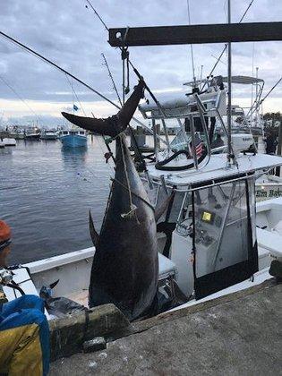 Reel Life Charters