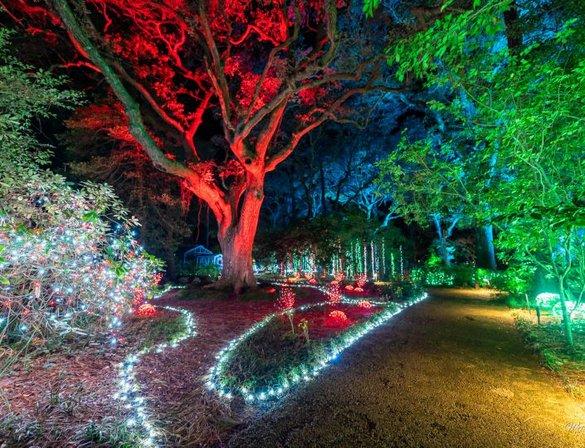 WinterLights