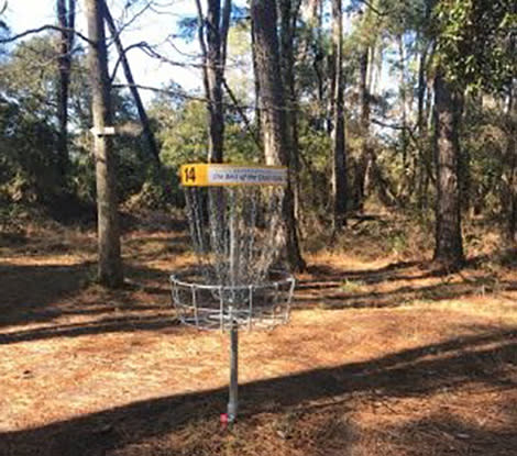 Casey Logan Fall Throw Down - Disc Golf Tournament.