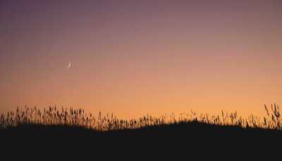 OBX Evenings Feel Quieter Than Elsewhere